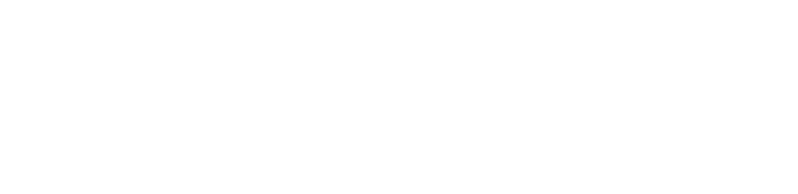 AVI Drones